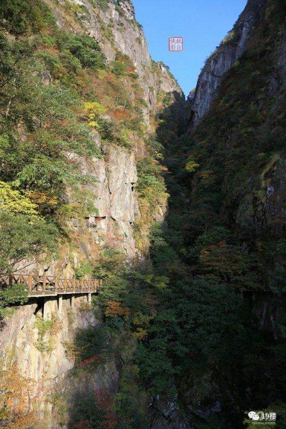 虫虫助手下载